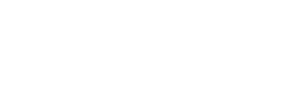 新电